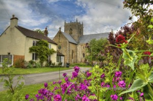 Minster thru flowers2